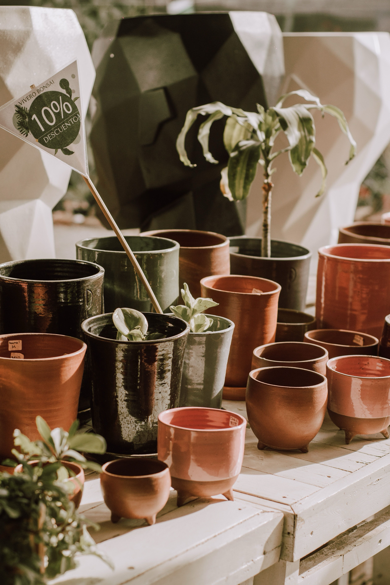 8 Stylish Ceramic Planters to Elevate Your Home Decor